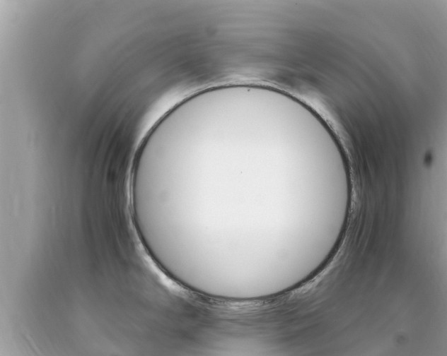 X0000094181294200710260923