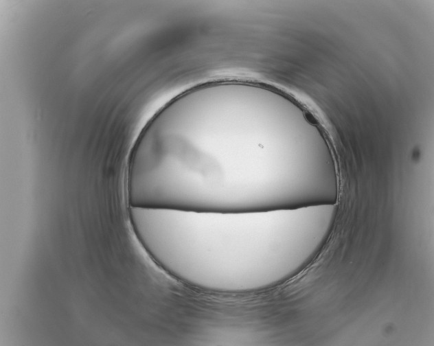 X0000094181295200710260923