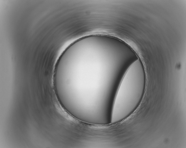 X0000094181296200710260923