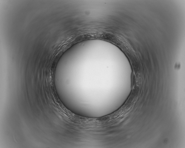 X0000094181298200710260922
