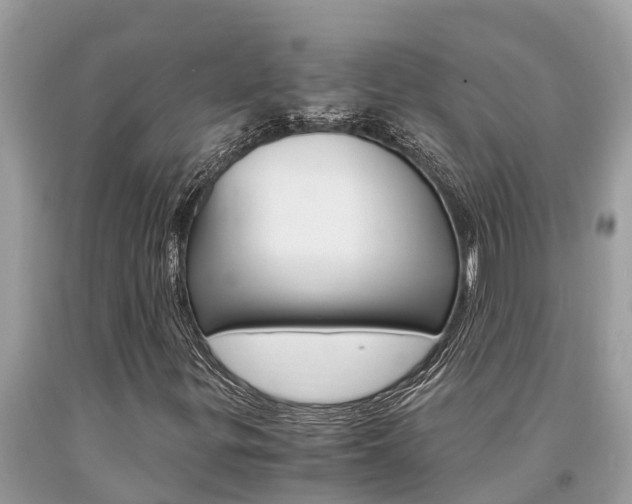 X0000094181299200710260923
