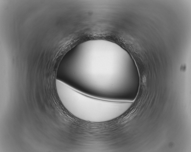 X0000094181300200710260923