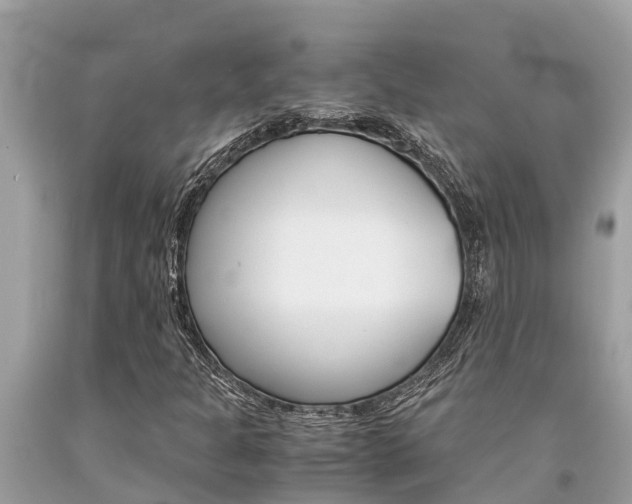 X0000094181301200710260923