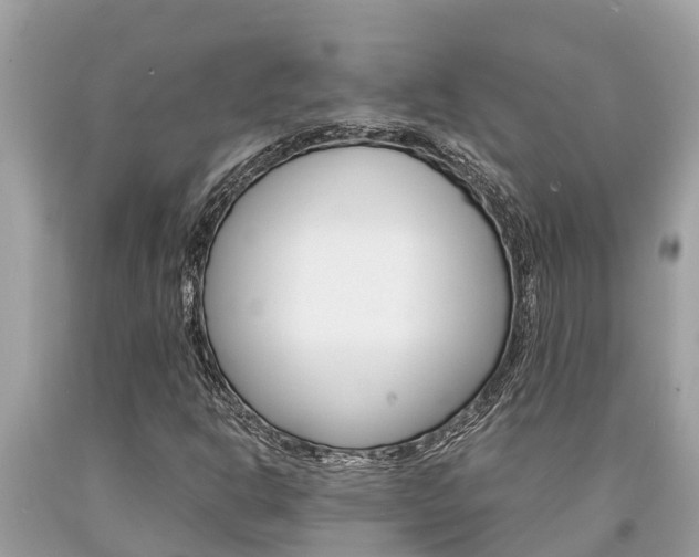 X0000094181302200710260923