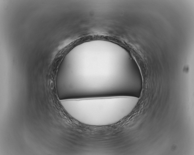 X0000094181303200710260923
