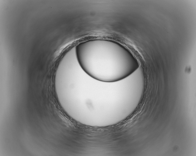 X0000094181304200710260923