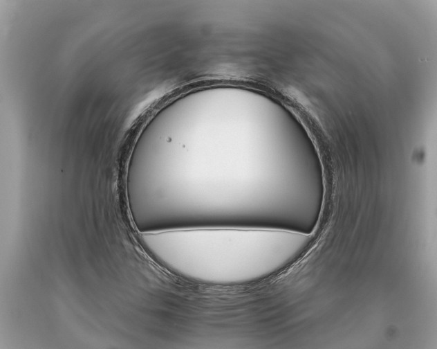 X0000094181307200710260923