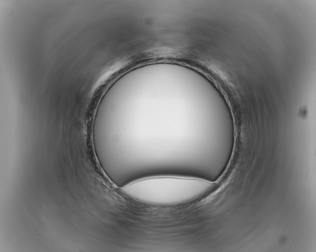 X0000094181309200710260923