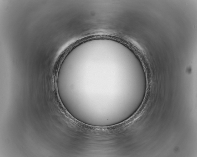 X0000094181310200710260923