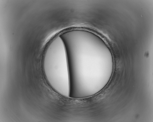 X0000094181311200710260923
