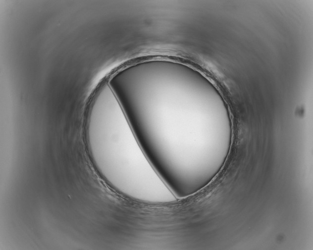X0000094181312200710260923