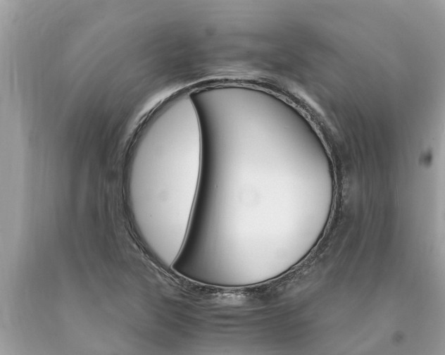X0000094181315200710260923