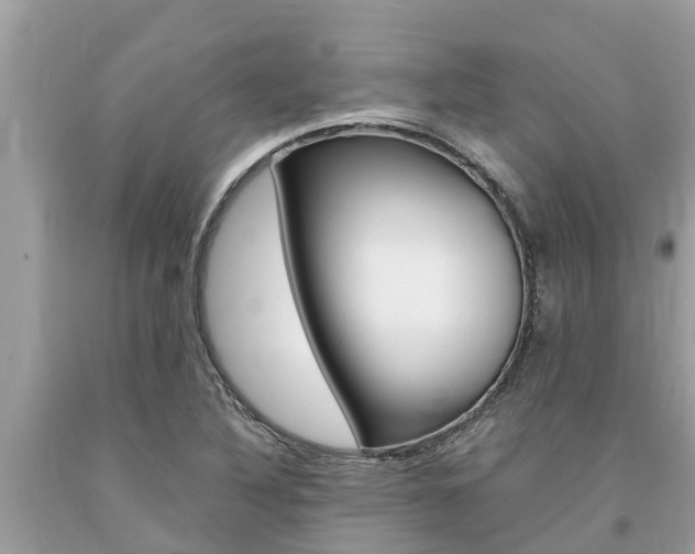 X0000094181316200710260923