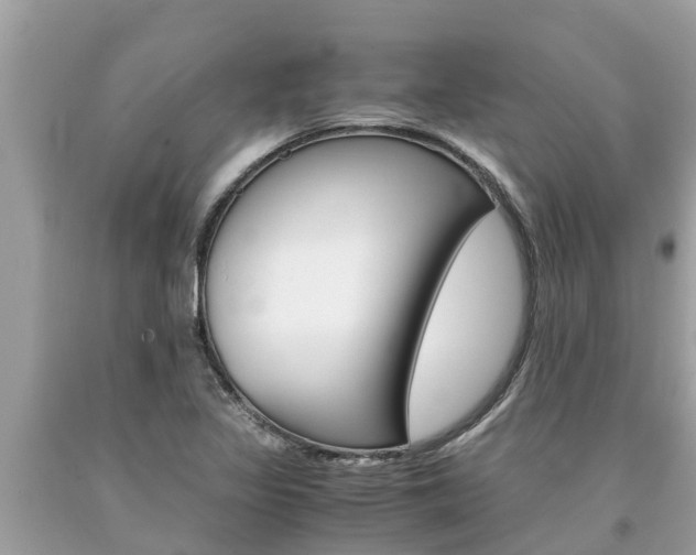 X0000094181317200710260923