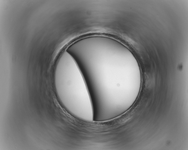 X0000094181318200710260923