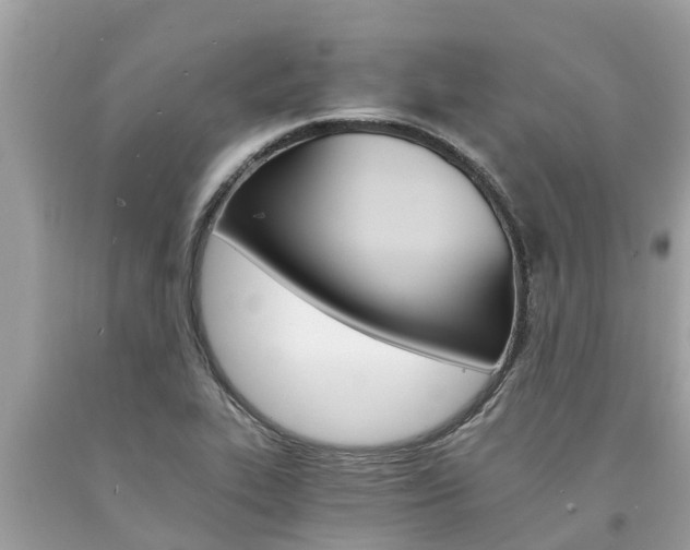 X0000094181319200710260923