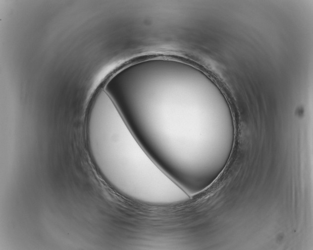 X0000094181320200710260923