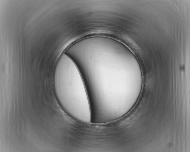 X0000094181321200710260923