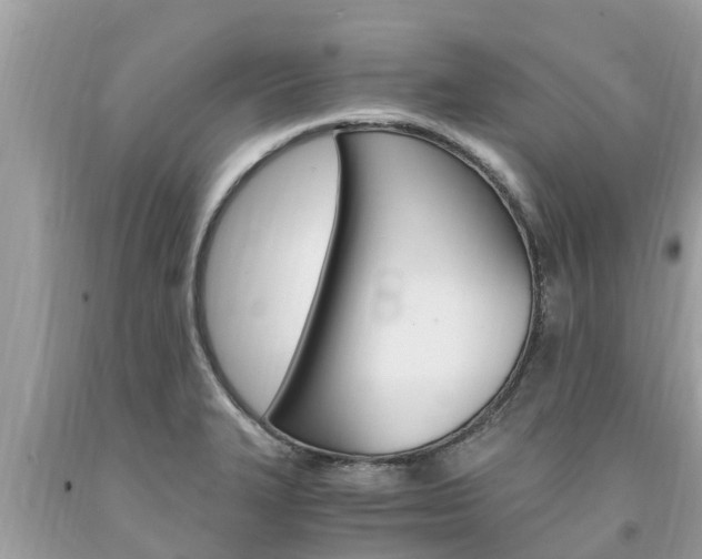 X0000094181327200710260923