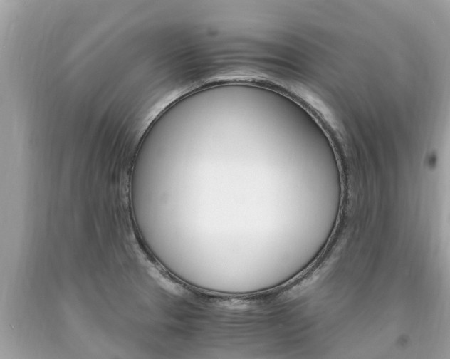 X0000094181329200710260923