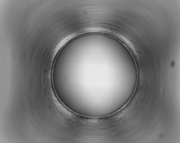 X0000094181330200710260923