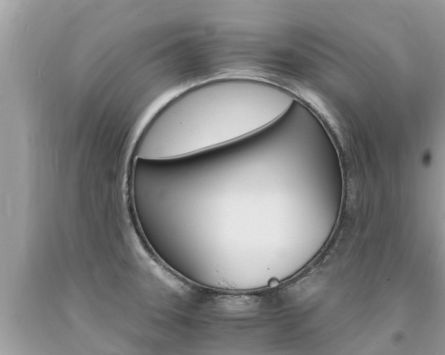 X0000094181331200710260923