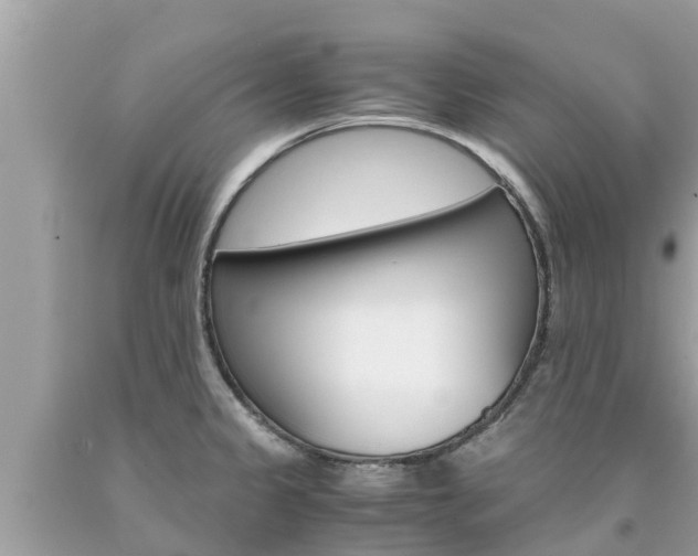 X0000094181333200710260923
