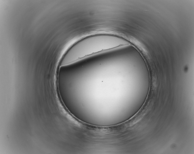 X0000094181334200710260923