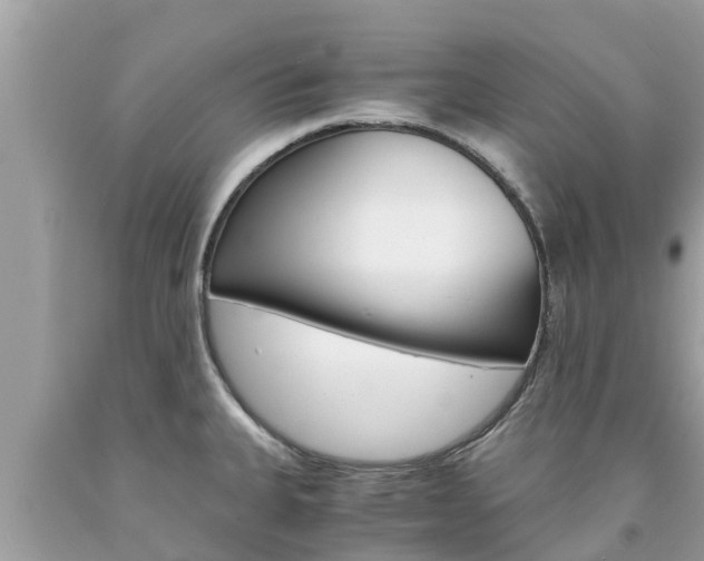 X0000094181335200710260923