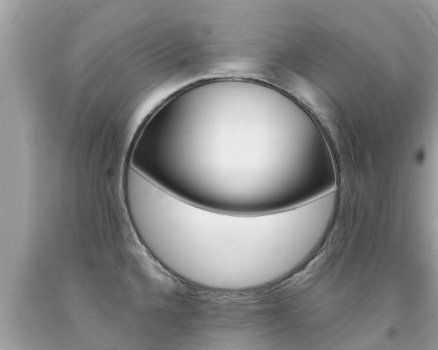 X0000094181336200710260923