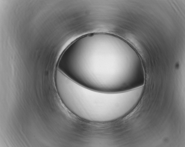 X0000094181340200710260923