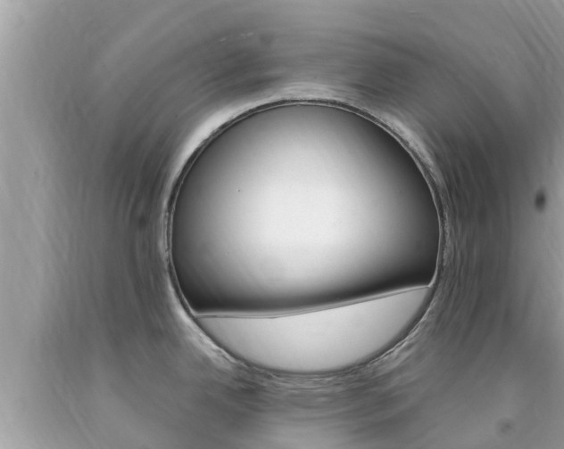 X0000094181342200710260923
