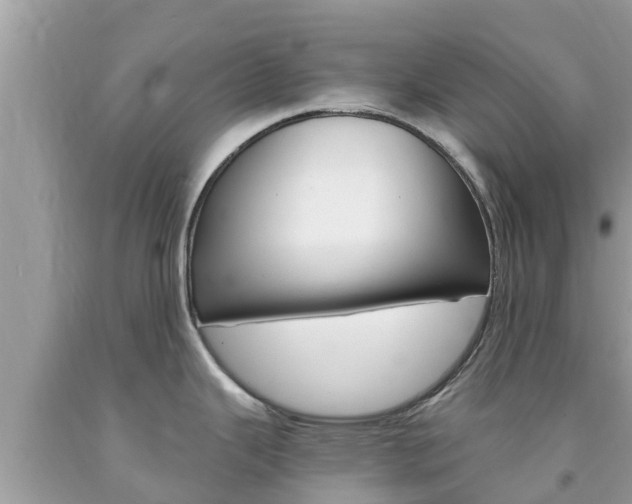 X0000094181343200710260923
