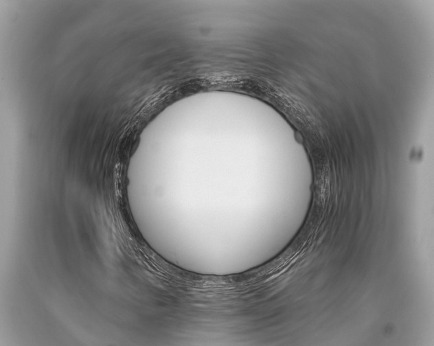 X0000094181346200710260922