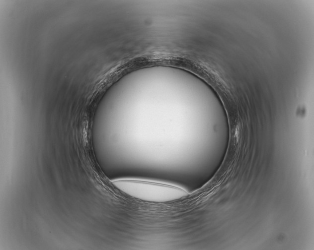 X0000094181348200710260922