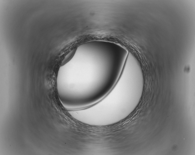 X0000094181349200710260922