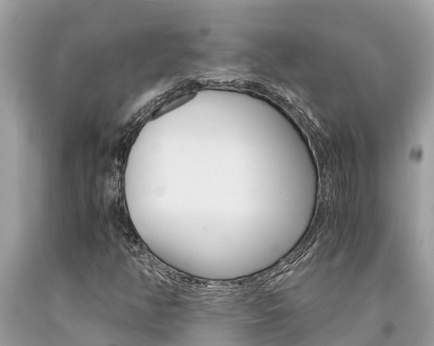 X0000094181350200710260922