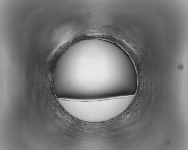 X0000094181351200710260922