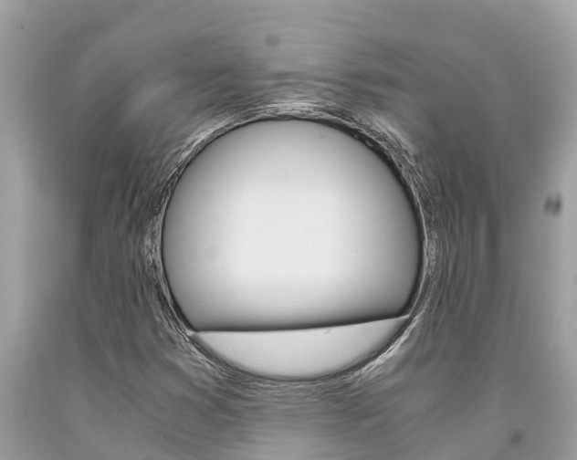 X0000094181353200710260922