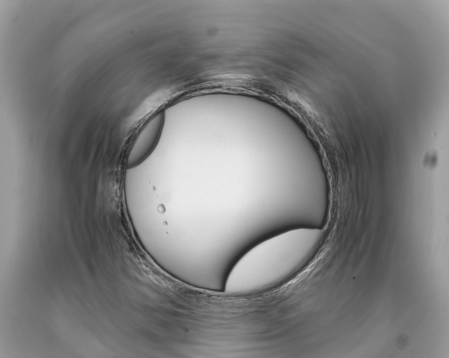 X0000094181354200710260922