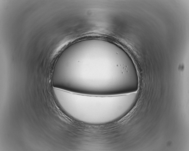 X0000094181355200710260922