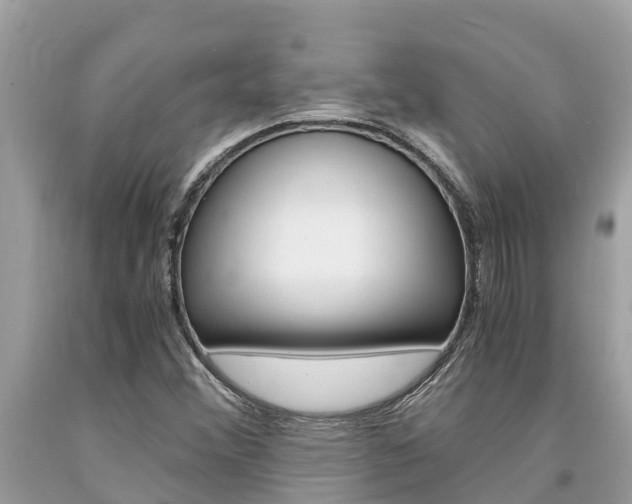 X0000094181356200710260922