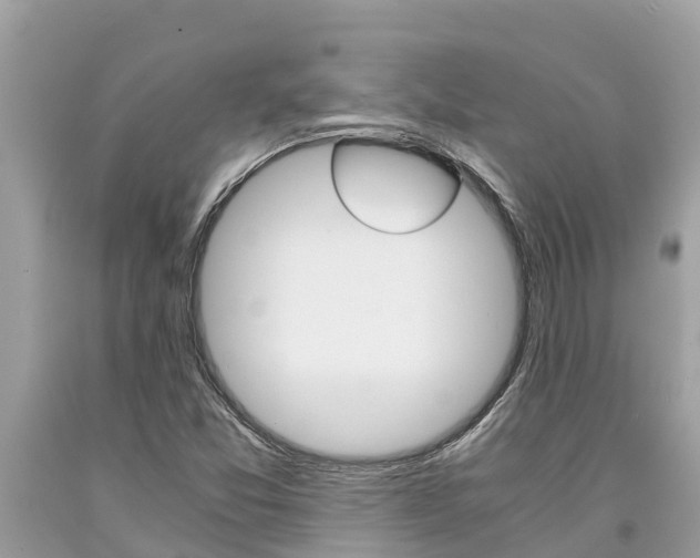 X0000094181357200710260922