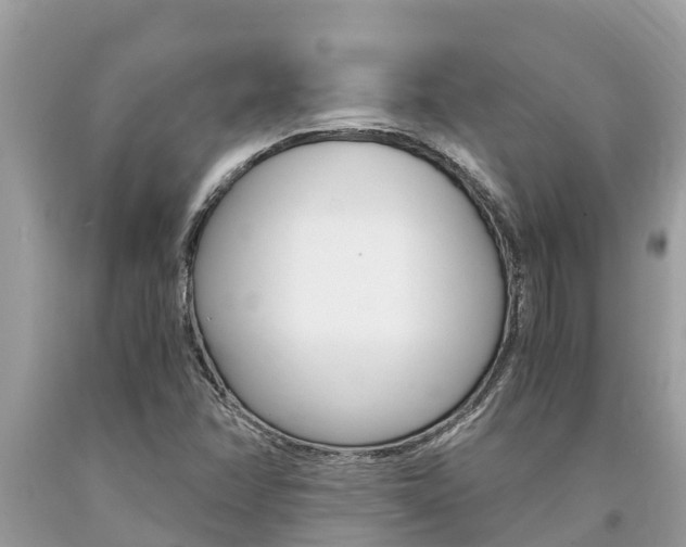 X0000094181358200710260922