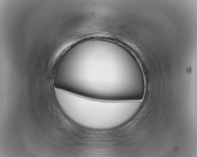 X0000094181359200710260922