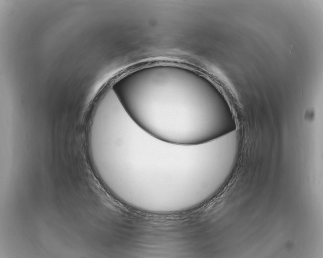 X0000094181360200710260922