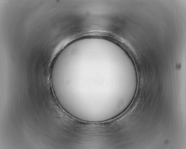 X0000094181362200710260922