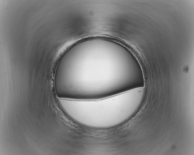 X0000094181363200710260922