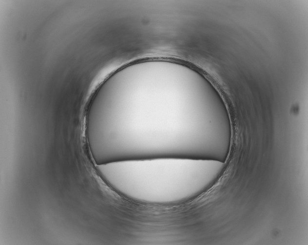 X0000094181366200710260922