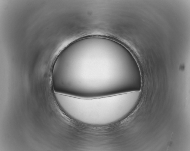 X0000094181367200710260922